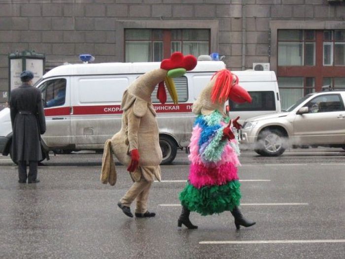 Забавные картинки