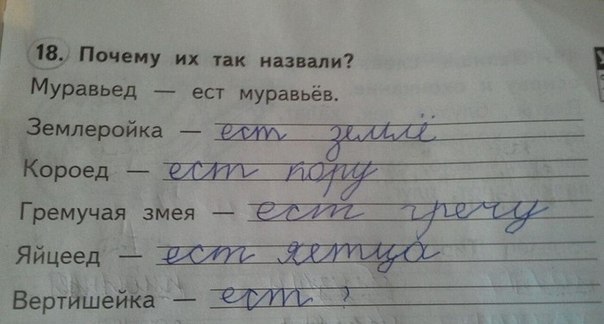 Забавные картинки
