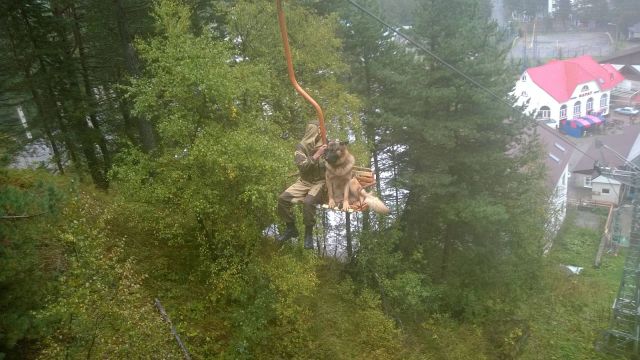 Прикольные картинки (87 фото)