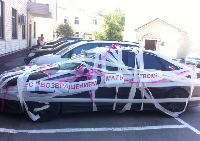 Забавные картинки