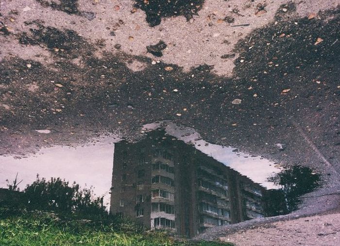 Прикольные картинки (93 фото)