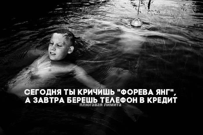 Прикольные картинки (93 фото)