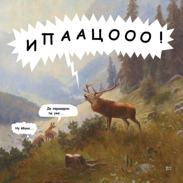 Прикольные картинки (93 фото)