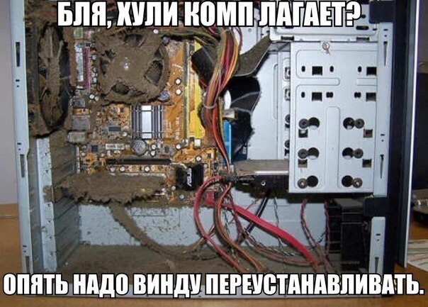 Забавные картинки