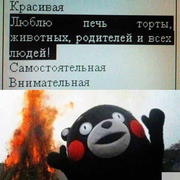 Забавные картинки