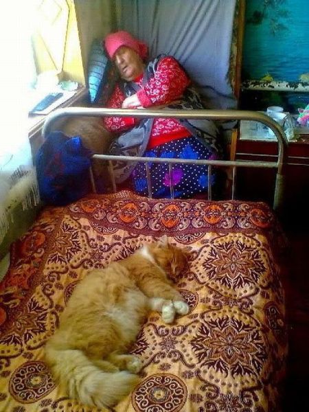 Прикольные картинки (93 фото)