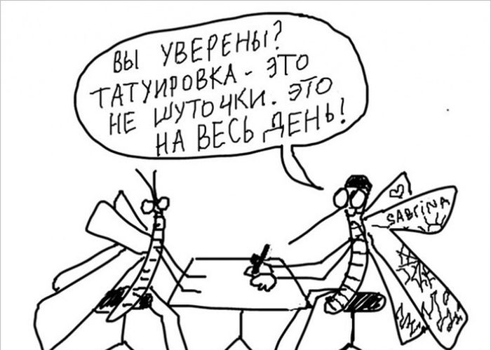 Забавные картинки