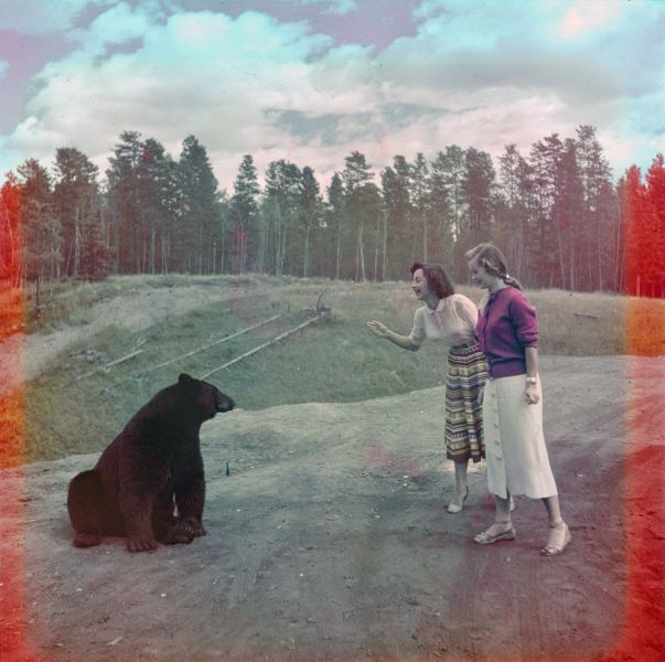 Прикольные картинки (72 фото)