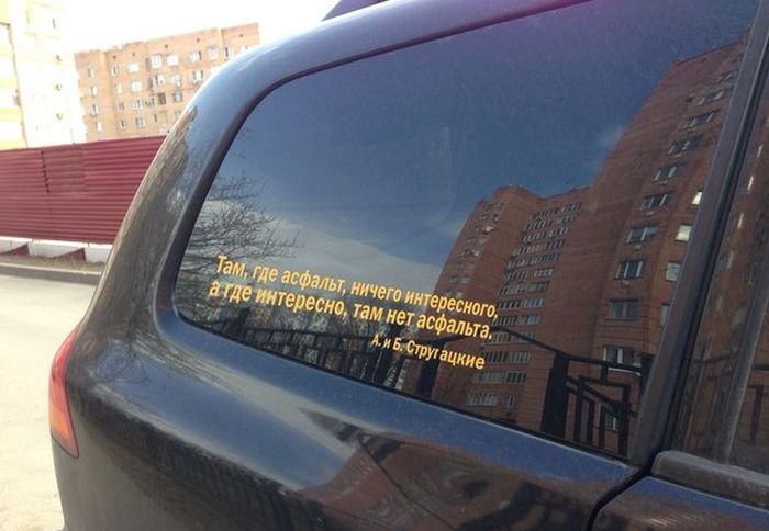 Прикольные картинки (105 фото)