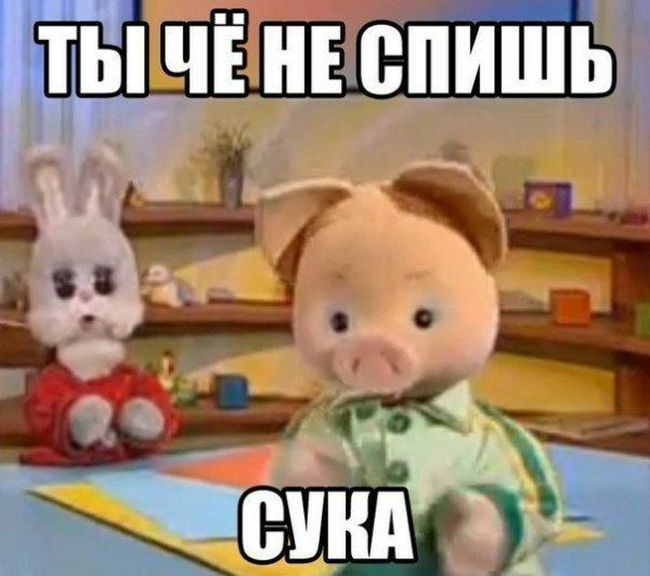 Прикольные картинки (105 фото)