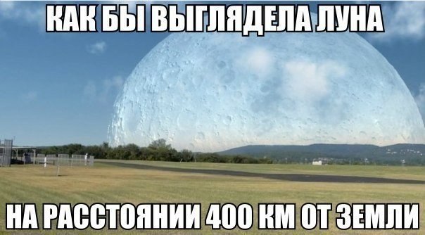 Прикольные картинки (105 фото)