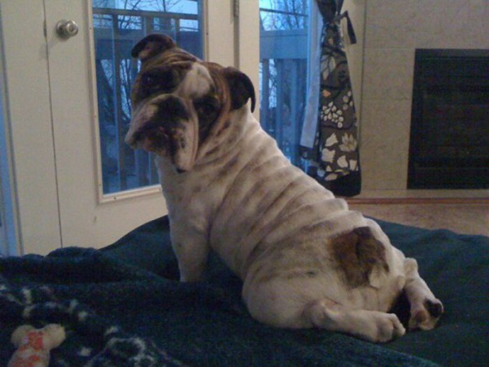 I'm sexy and I know it
