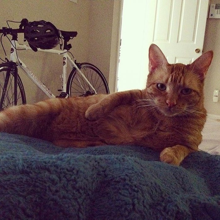 I'm sexy and I know it