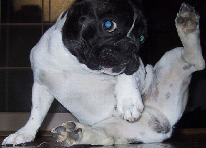 I'm sexy and I know it