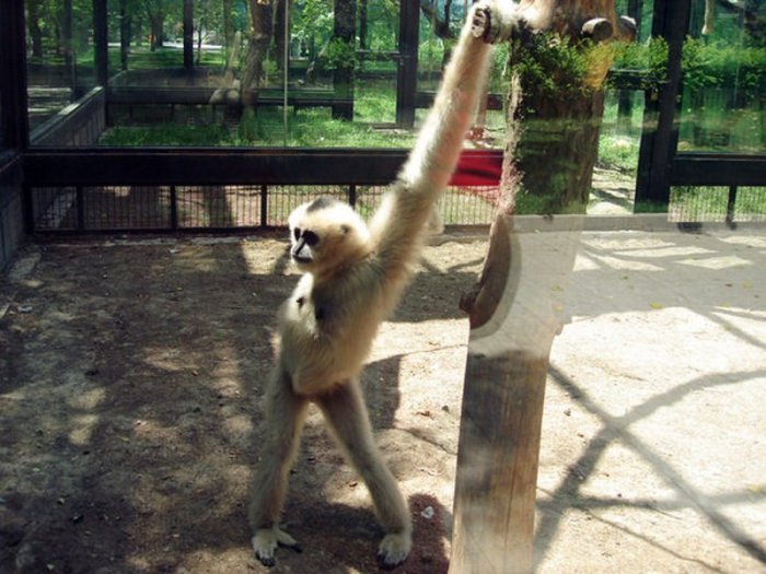 I'm sexy and I know it