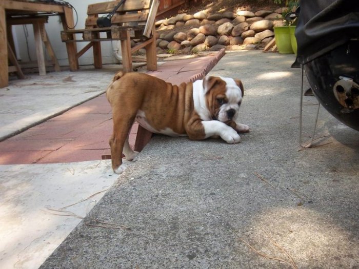 I'm sexy and I know it