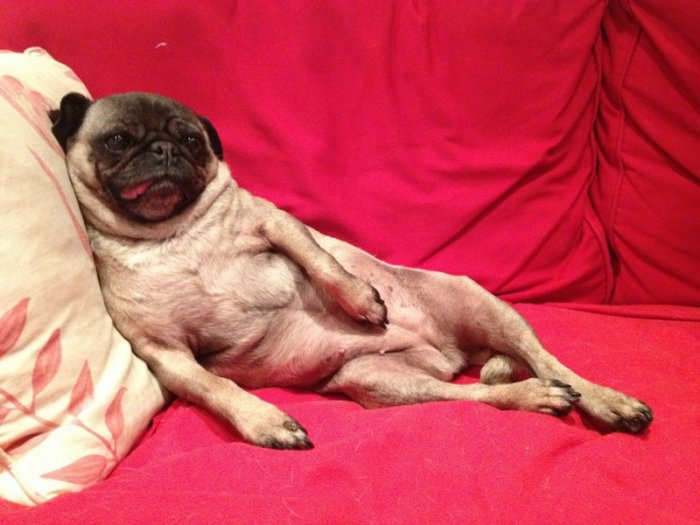 I'm sexy and I know it