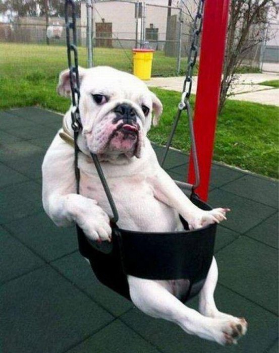 I'm sexy and I know it
