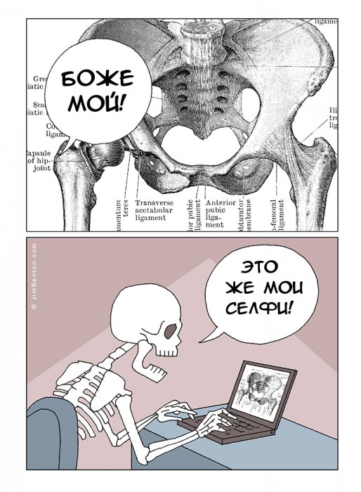Забавные картинки