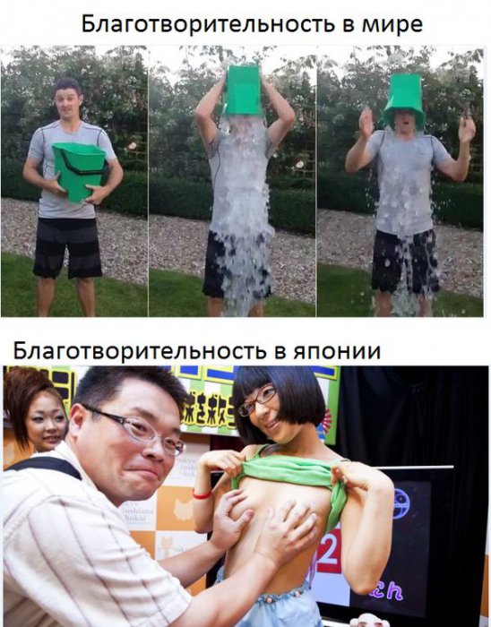 Прикольные картинки (73 фото)