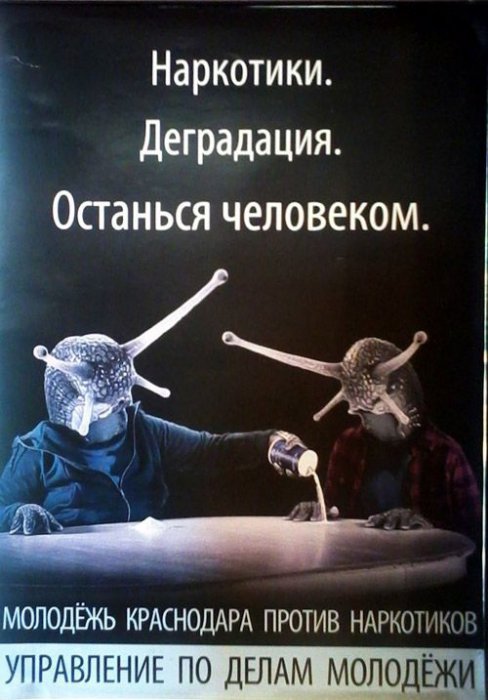 Прикольные картинки (73 фото)