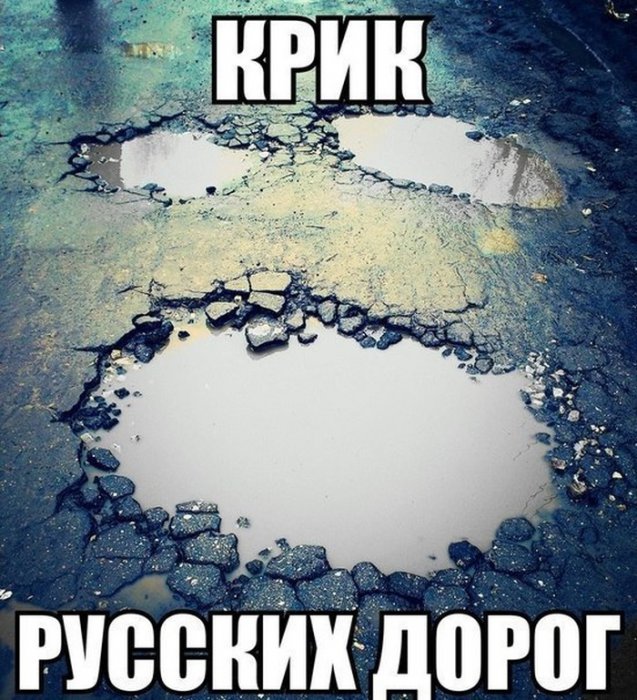 Прикольные картинки (86 фото)