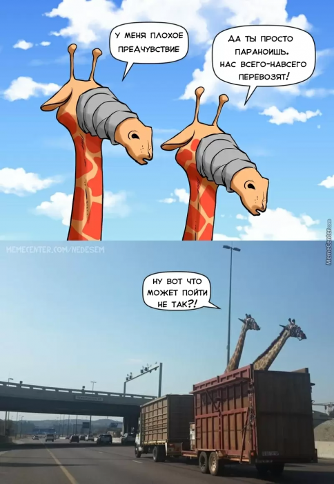 Забавные картинки