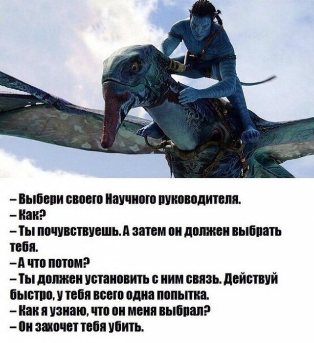 Порция картинок