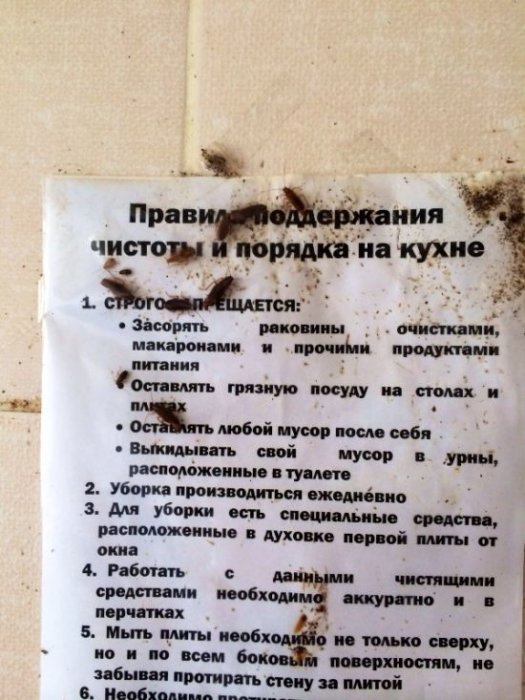 Порция картинок