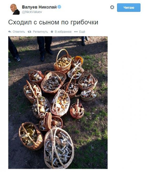 Порция картинок