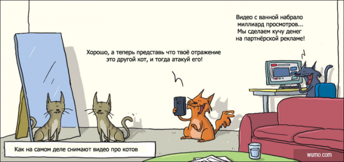 Забавные картинки