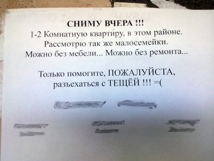 Забавные картинки