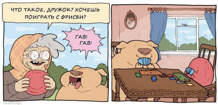 Забавные картинки