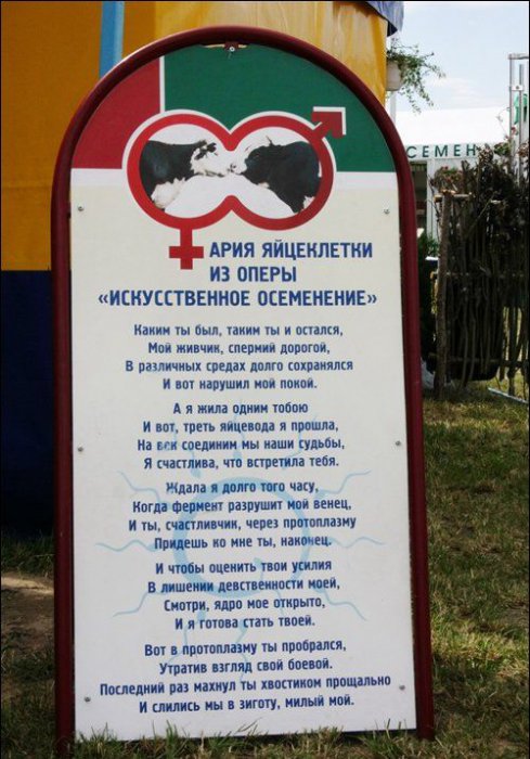 Забавные картинки