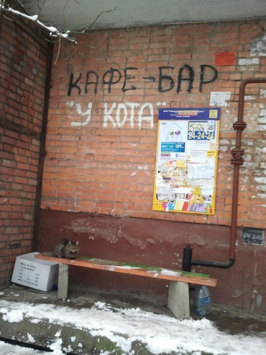Забавные картинки
