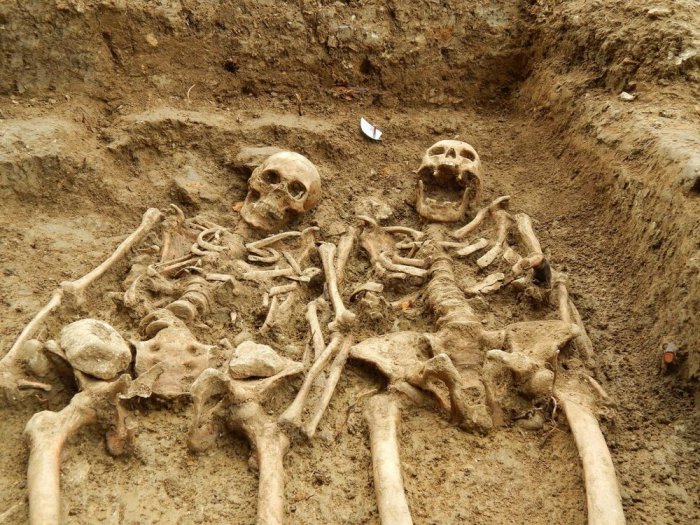 Обнаружена пара, не расстававшаяся на протяжении 700 лет