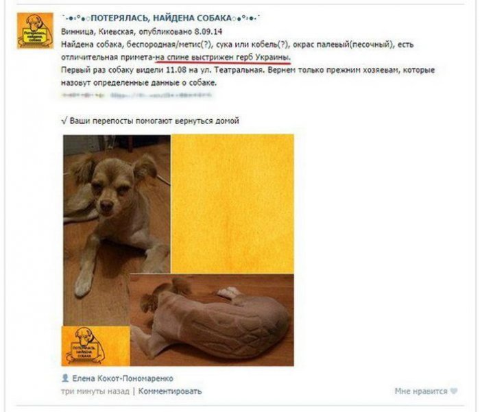 Забавные картинки
