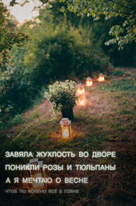 Прикольные картинки (93 фото)