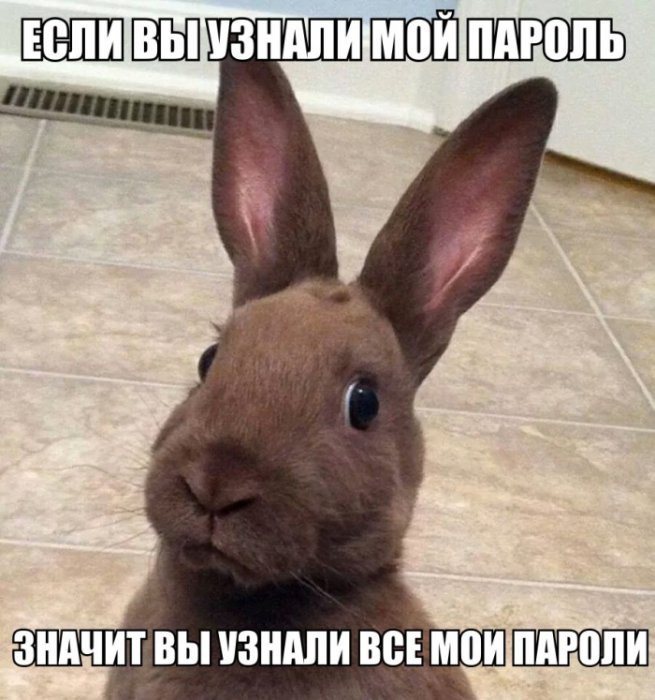 Прикольные картинки (105 фото)
