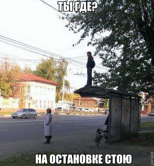 Забавные картинки
