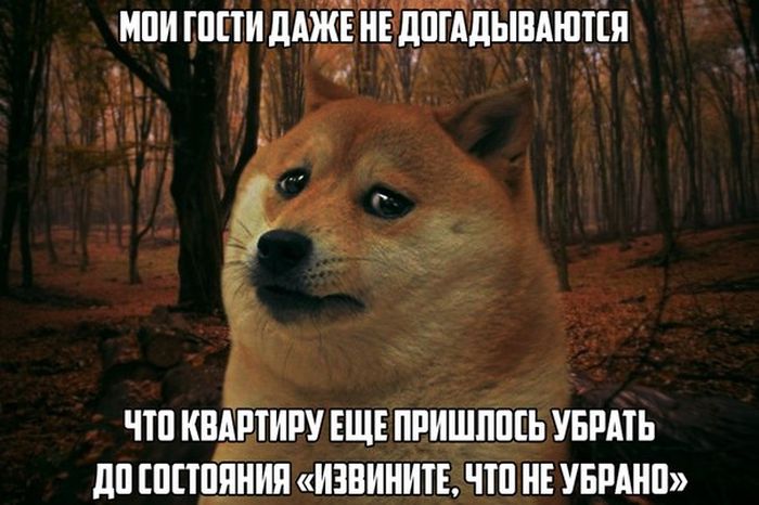 Забавные картинки