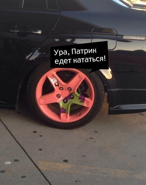 Забавные картинки