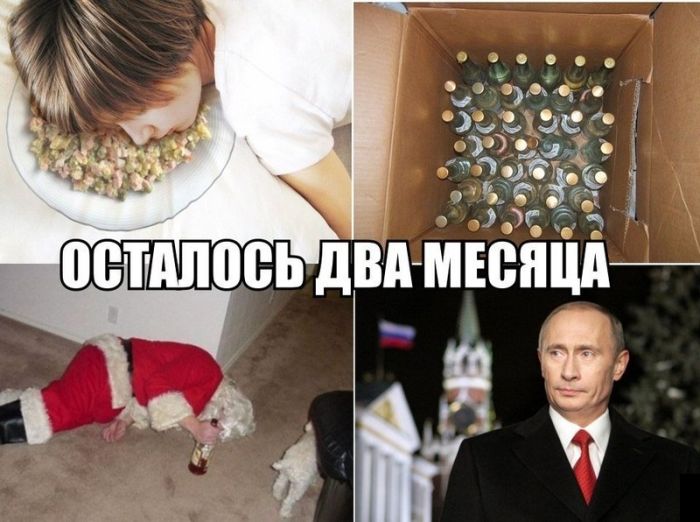 Забавные картинки