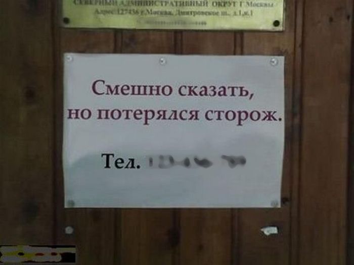 Забавные картинки