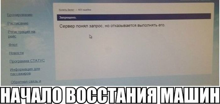 Забавные картинки