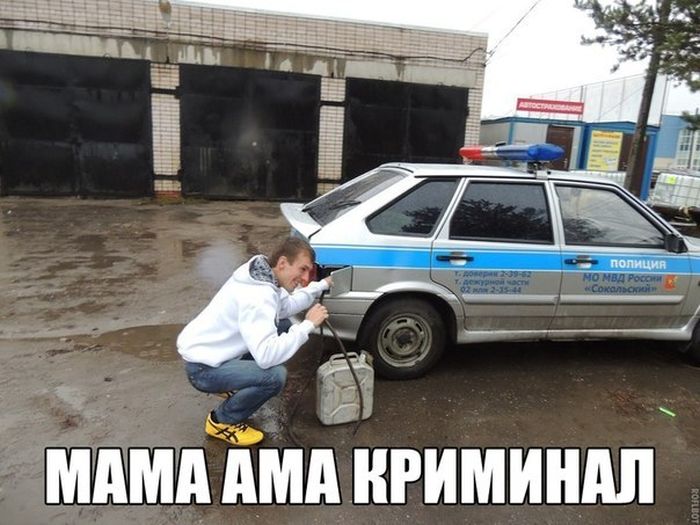 Забавные картинки