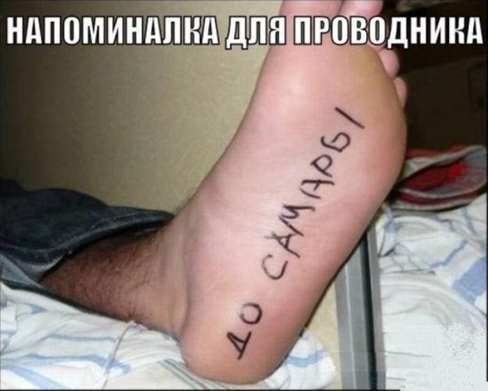 Забавные картинки