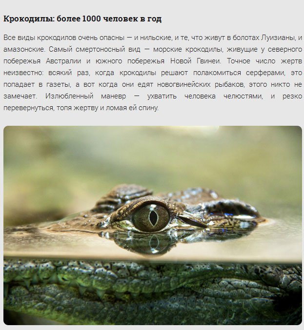 17 самых смертоносных существ нашей планеты