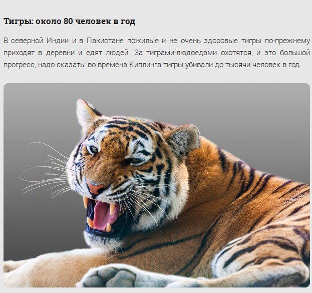 17 самых смертоносных существ нашей планеты