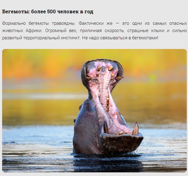 17 самых смертоносных существ нашей планеты